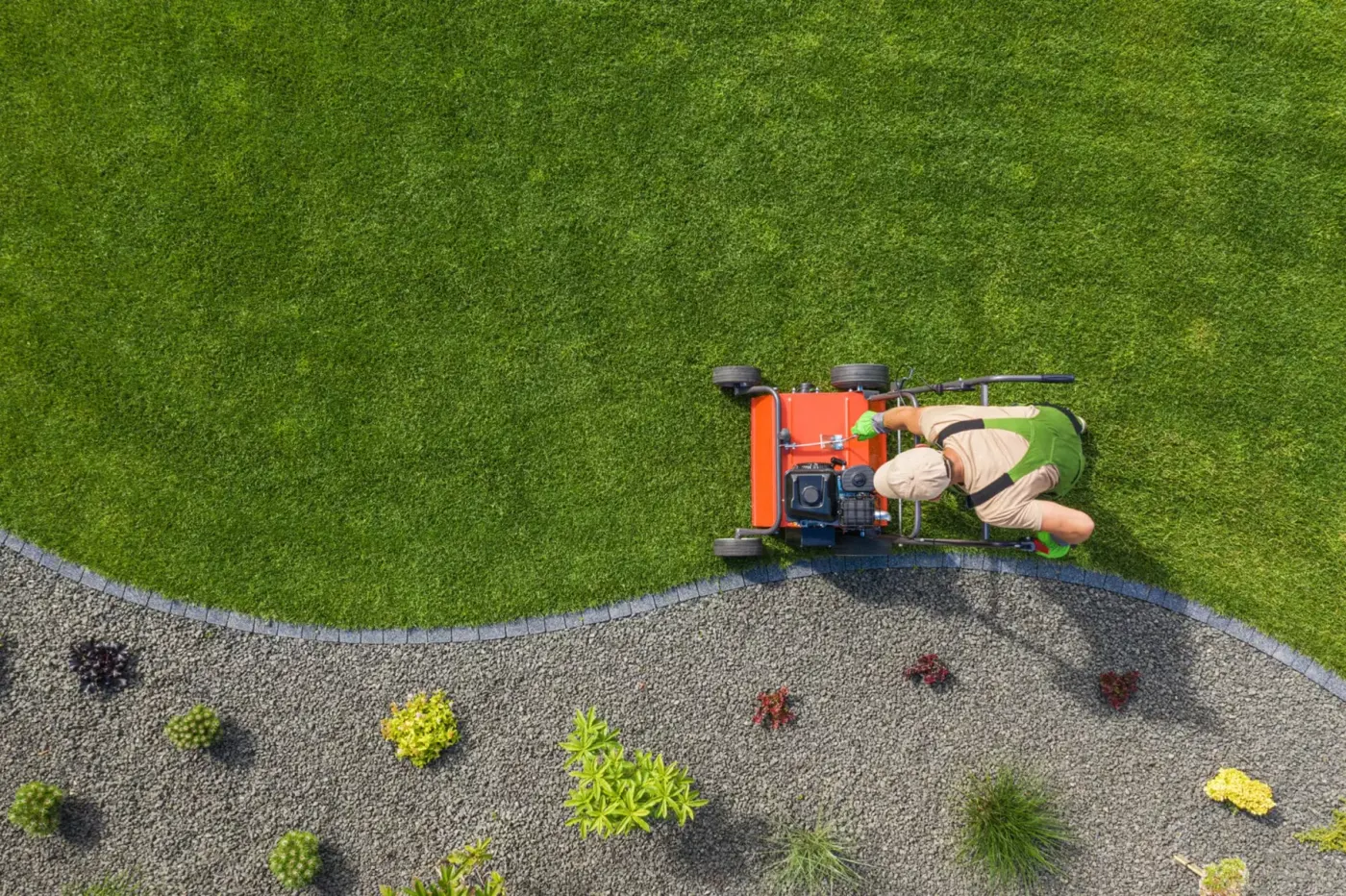 A core aerator on a lawn beside a planting bed